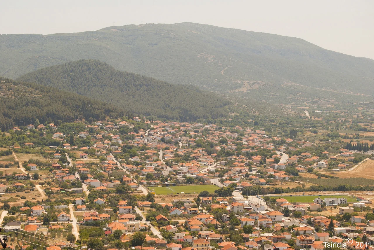 Ζυγός