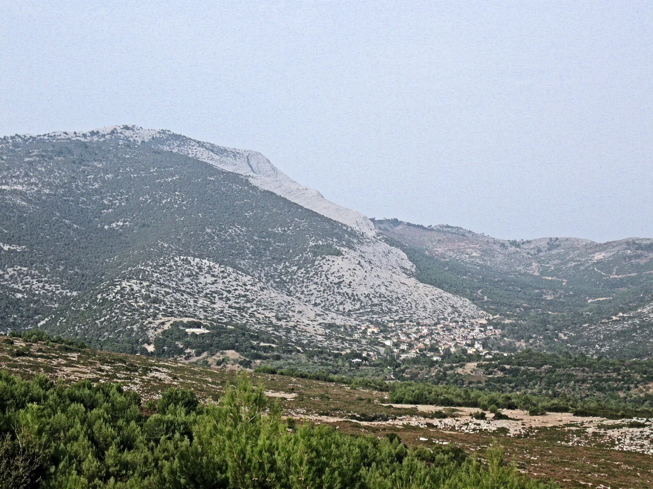 Θεολόγος Θάσου