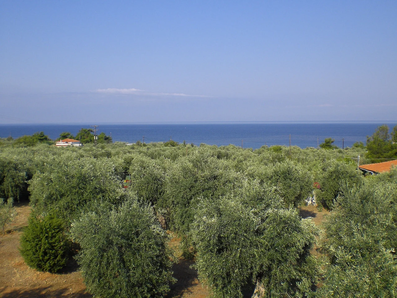 Καλλιράχη Θάσου