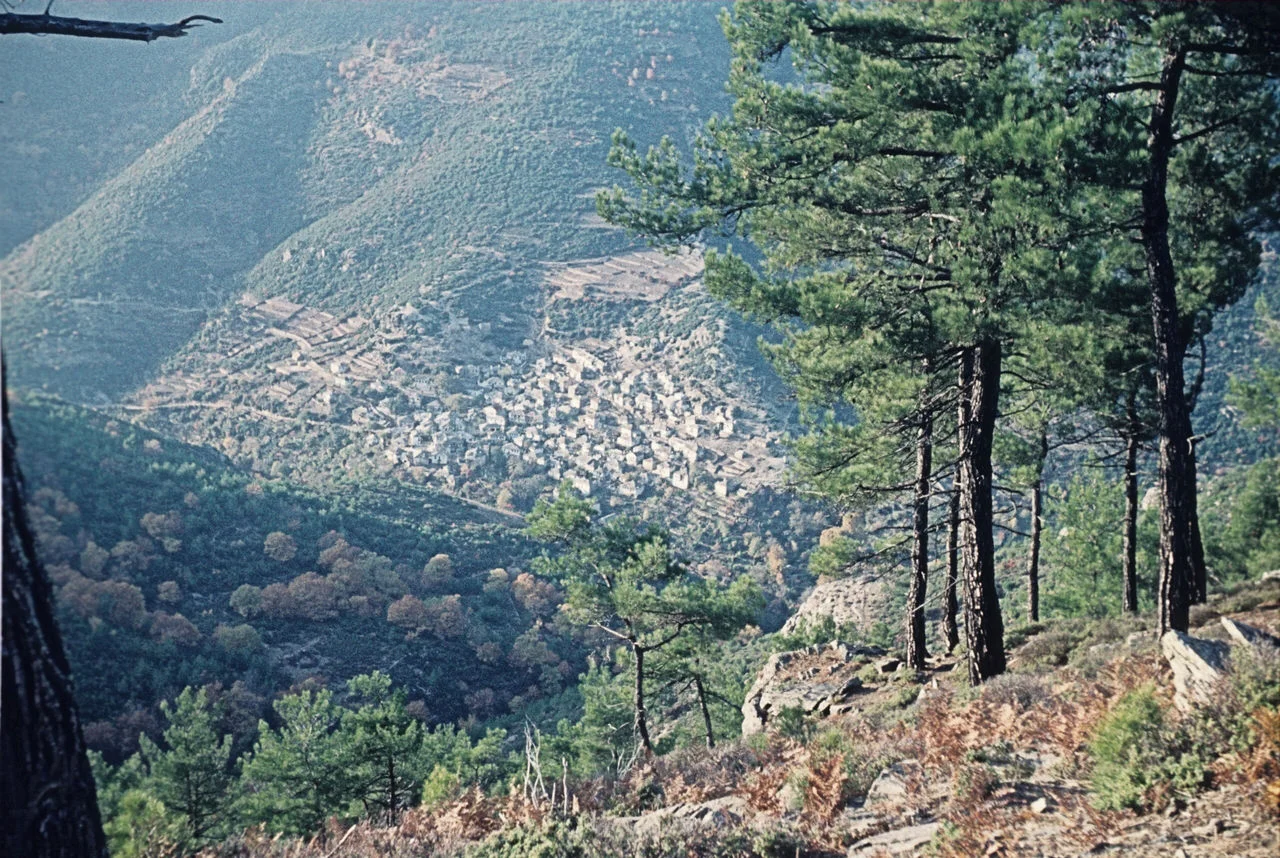 Μαριές Θάσου