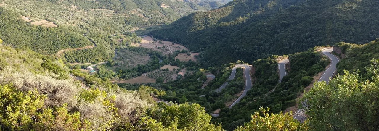Βούτσης
