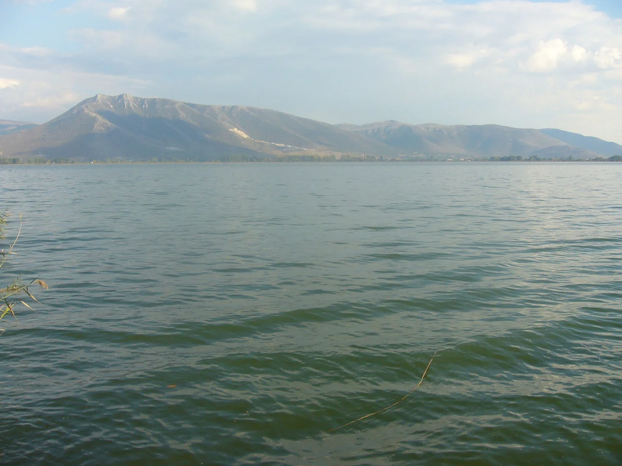 Μεταμόρφωση