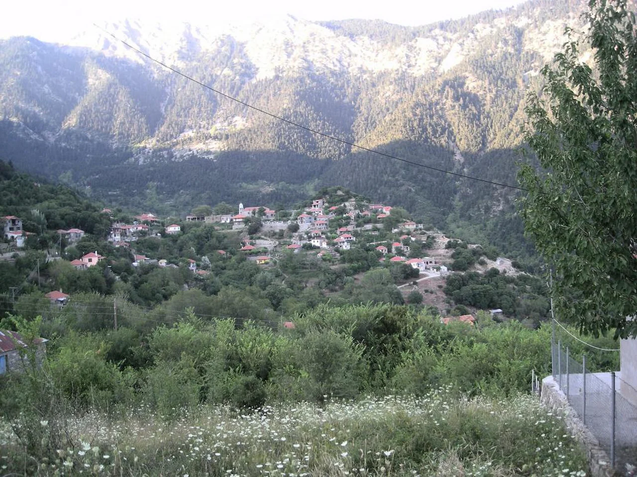 Αμπελακιώτισσα