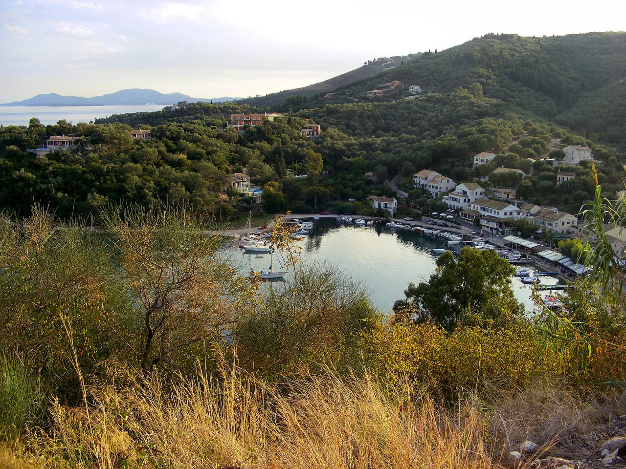 Άγιος Στέφανος Αυλιωτών