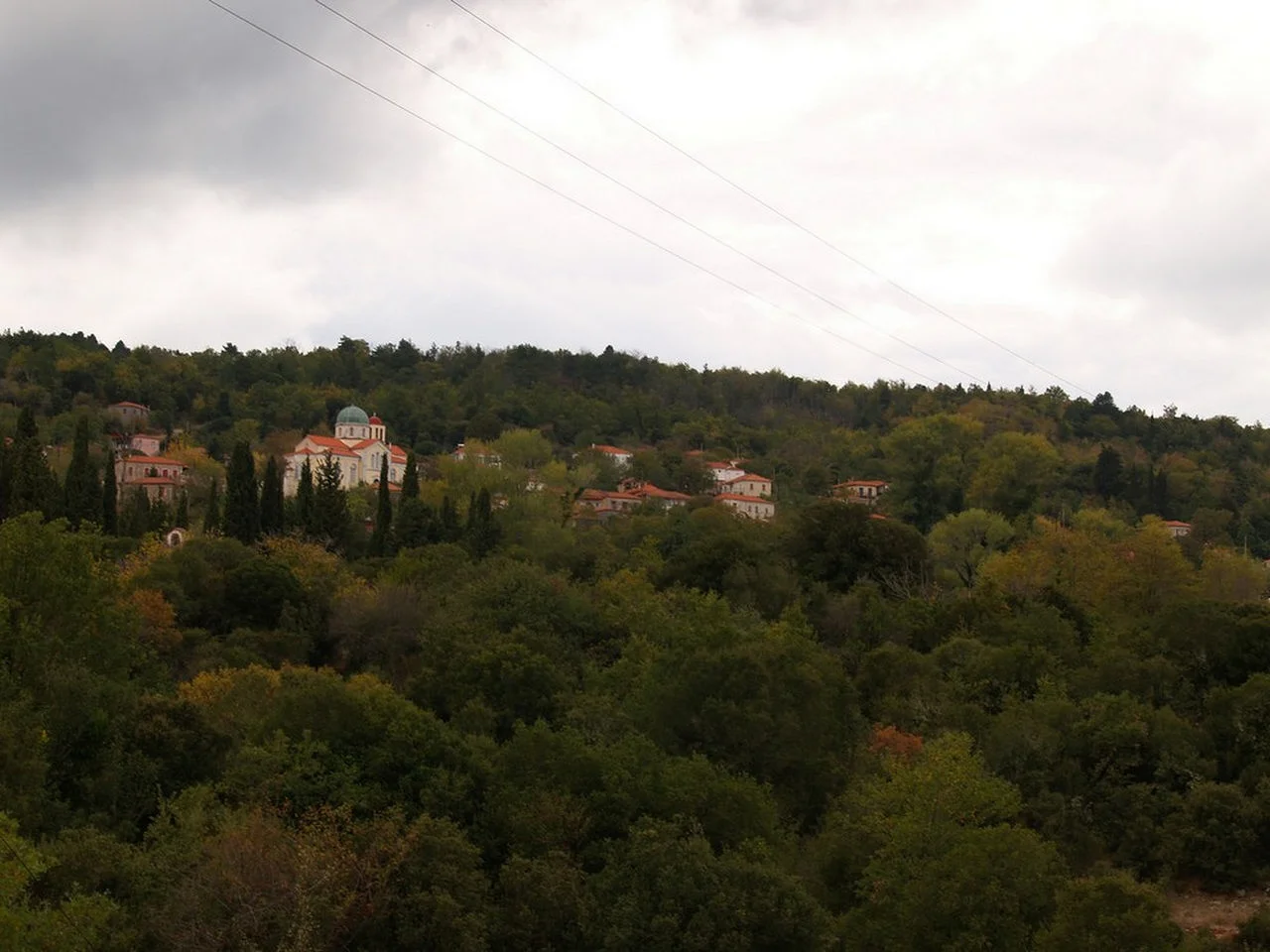 Κερασιά