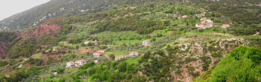 Κοκκινορράχη