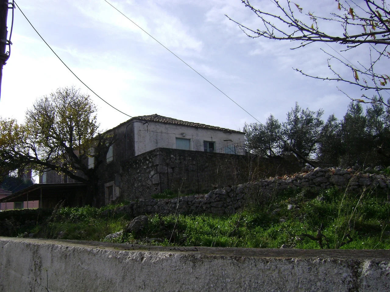 Κονιδαράτα