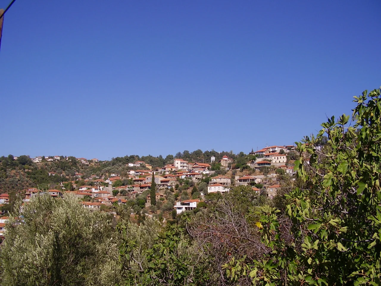 Κολλίνες
