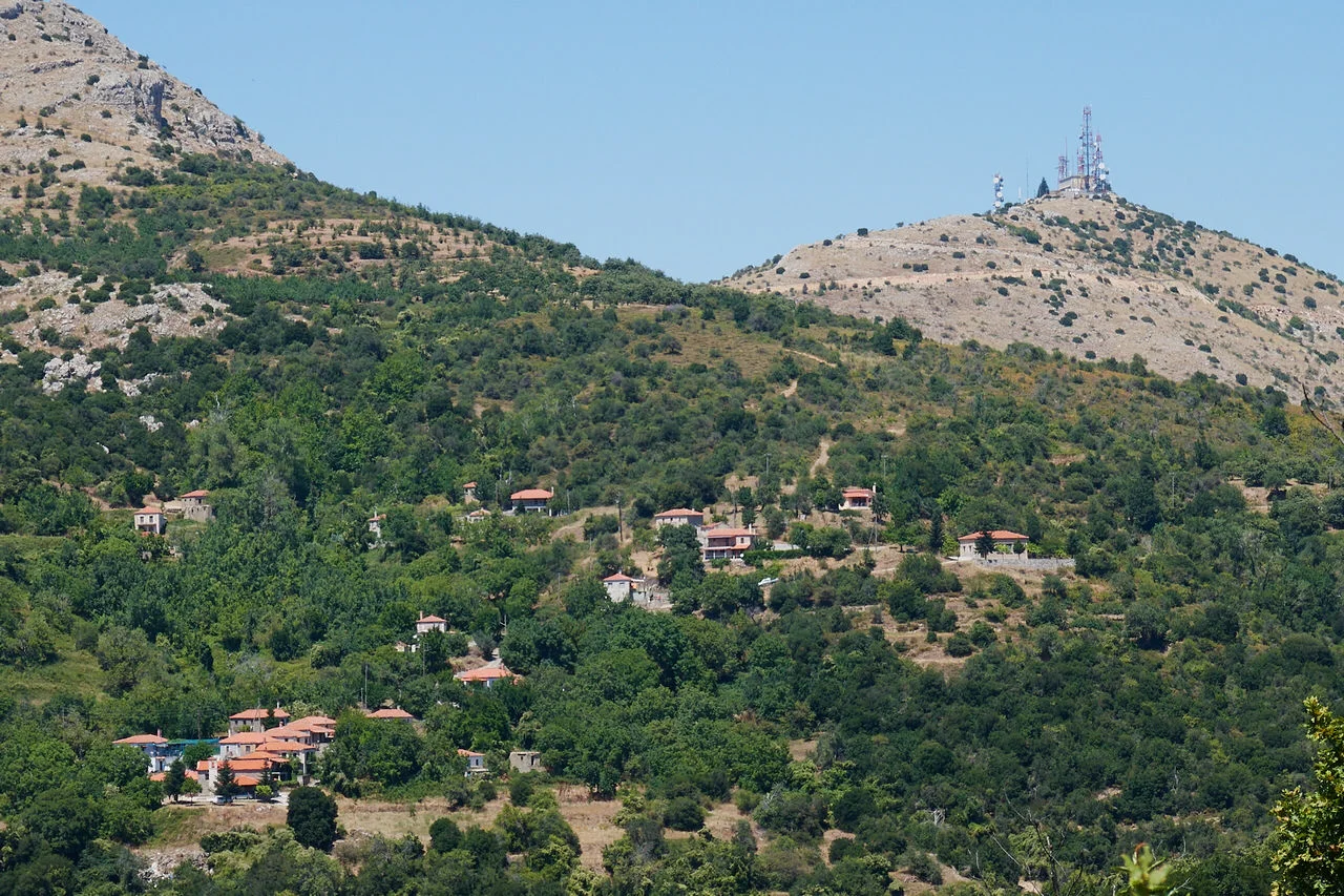 Κούτρουφα