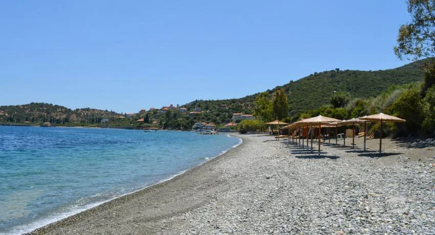 Λιβάδι Πραγματευτή