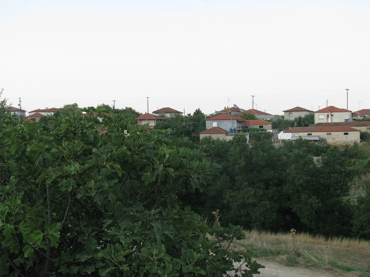 Πεντάλοφο
