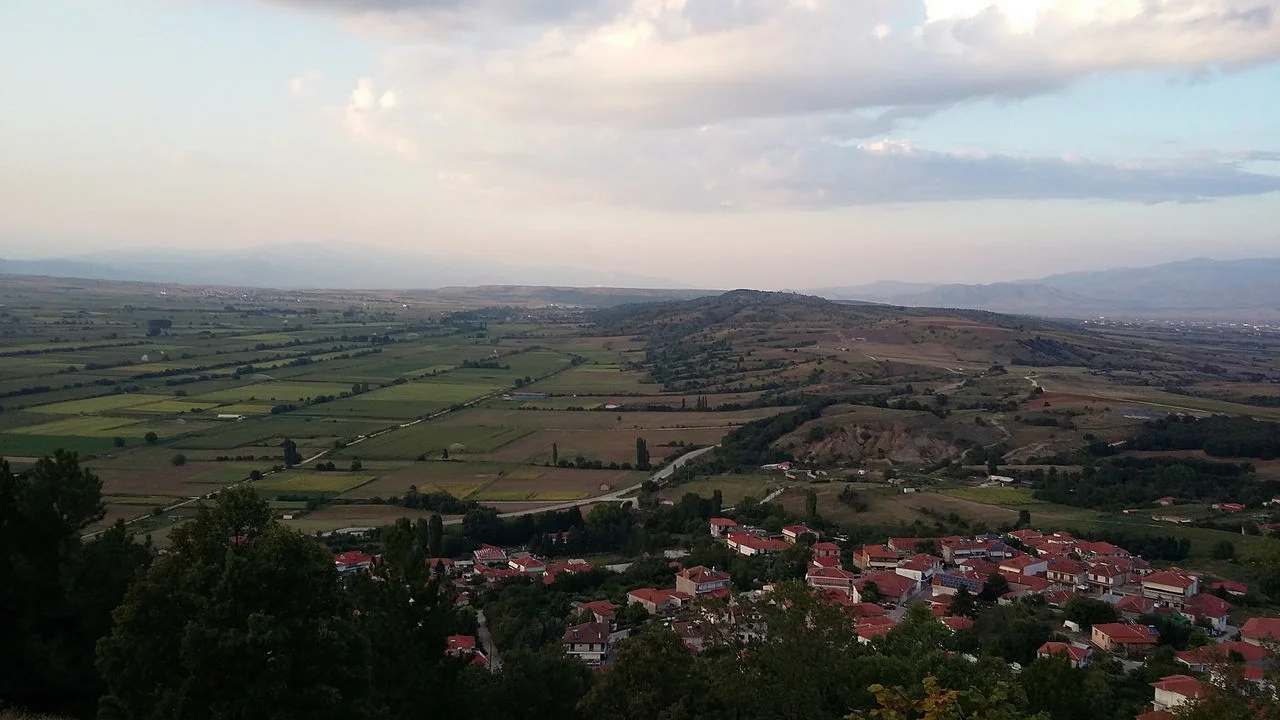 Αναρράχη