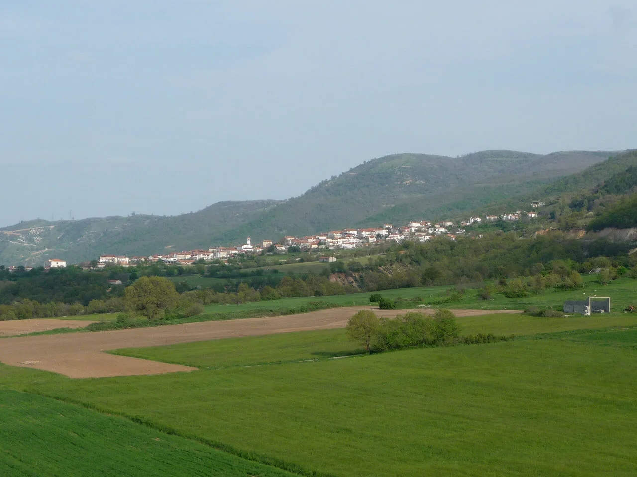 Ελάτη