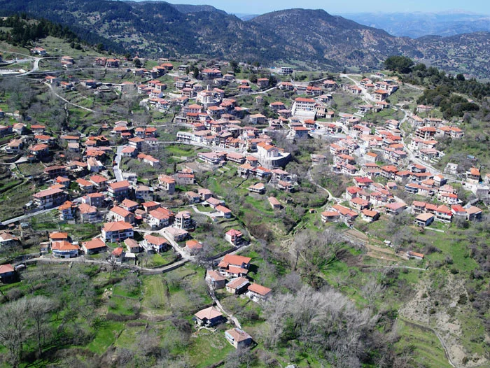 Μυγδαλιά