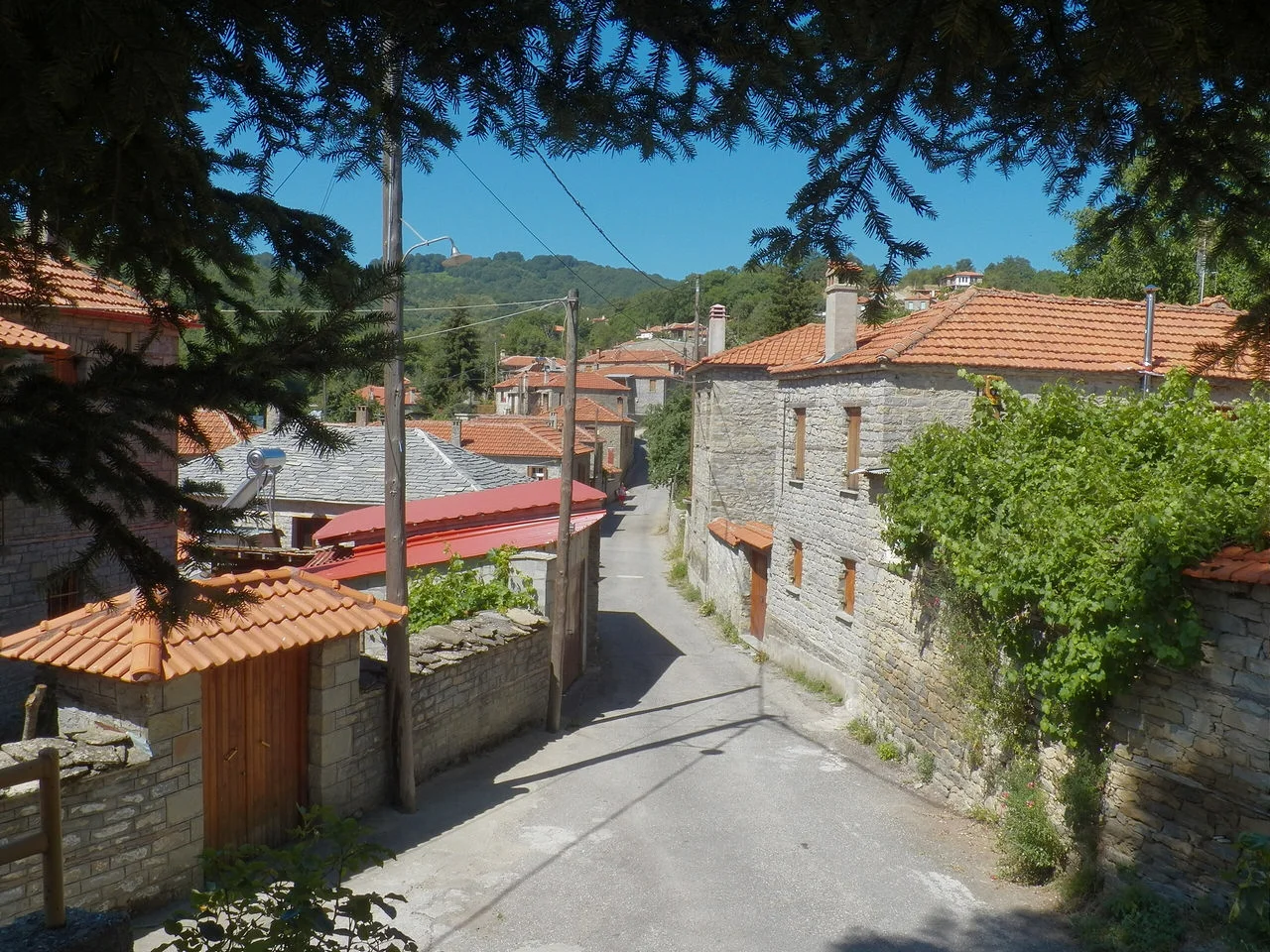 Πολυκάστανο