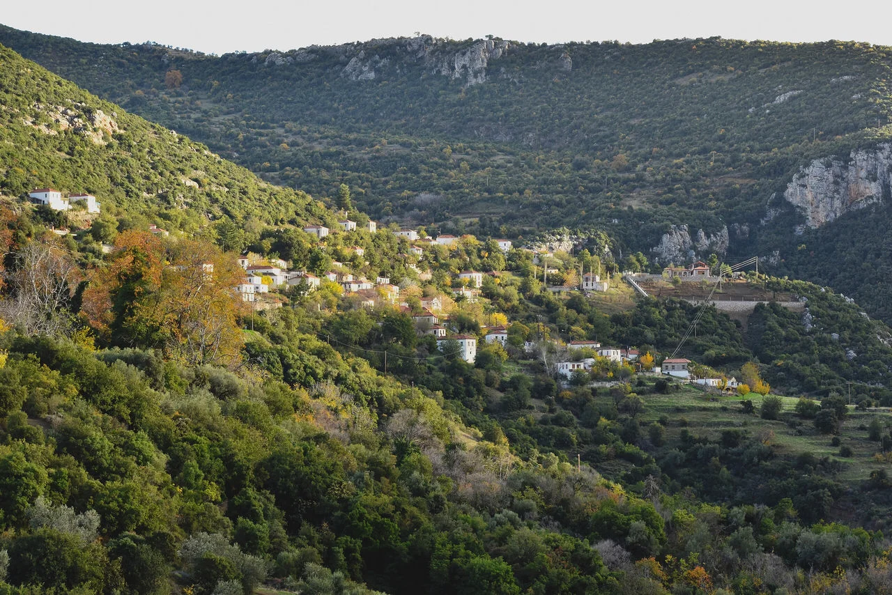 Ορεινό Κορακοβούνι