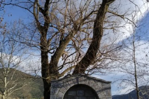Παλαιόπυργος Μαντινείας