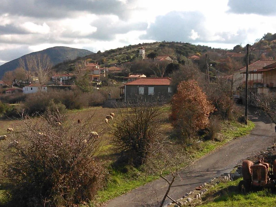 Πάπαρης