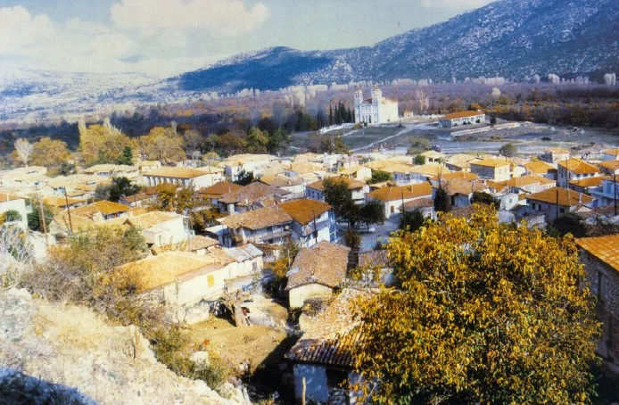 Παρθένι