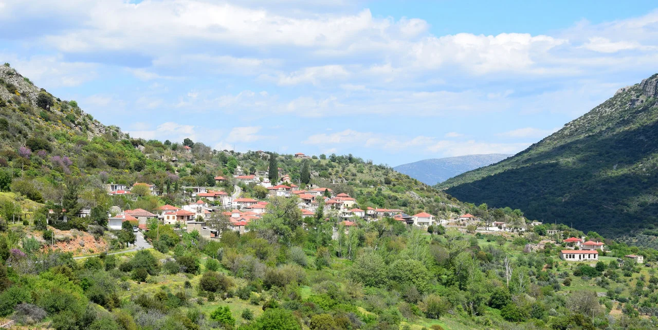 Περδικόβρυση