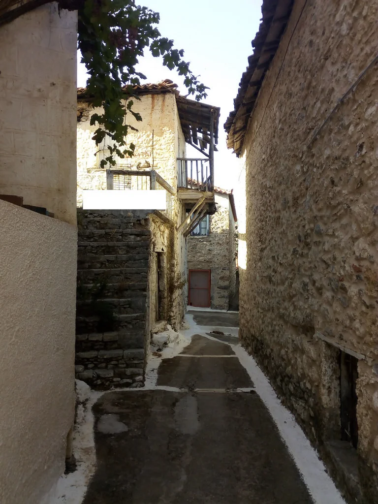 Πλάτανος
