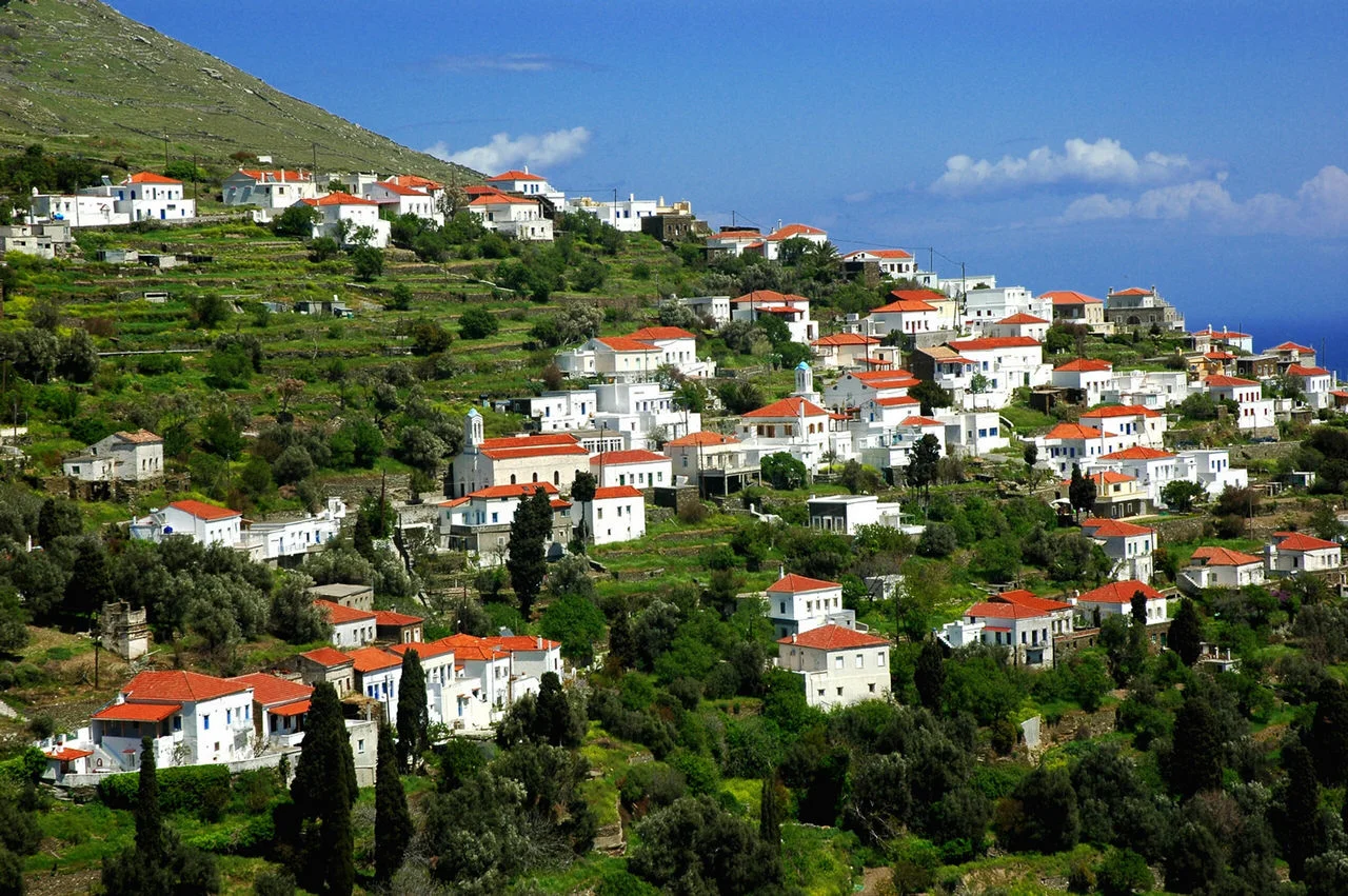 Κόχυλος Άνδρου