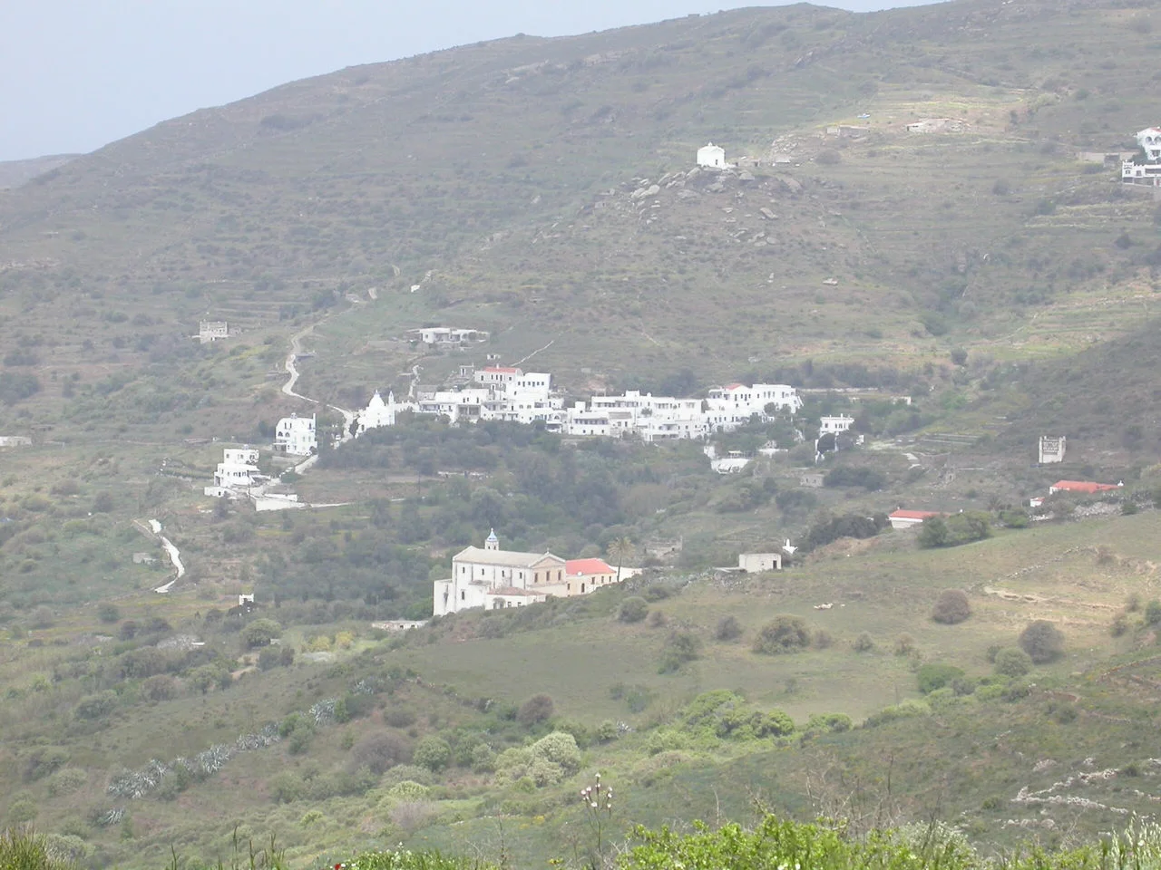 Κρόκος Τήνου