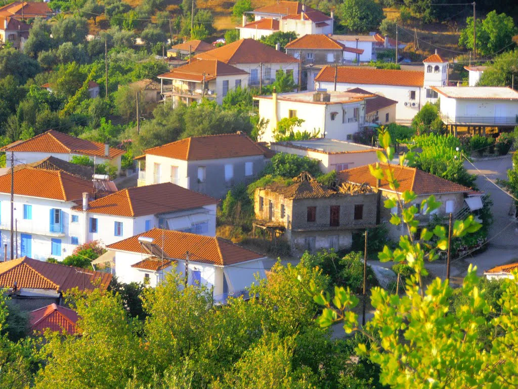 Ράχες