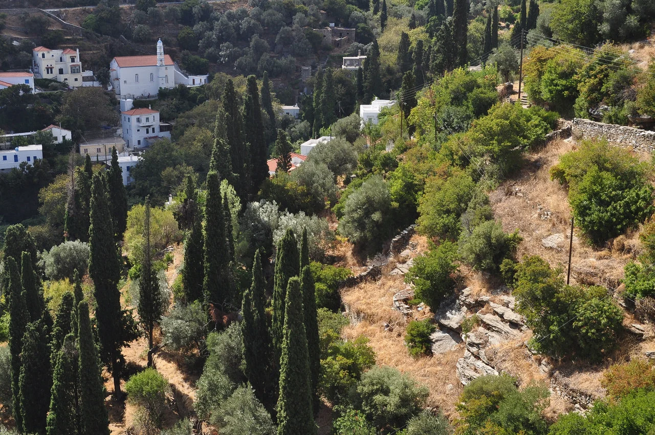 Μένητες Άνδρου