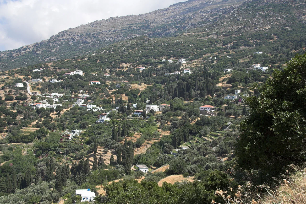 Παλαιόπολη Άνδρου