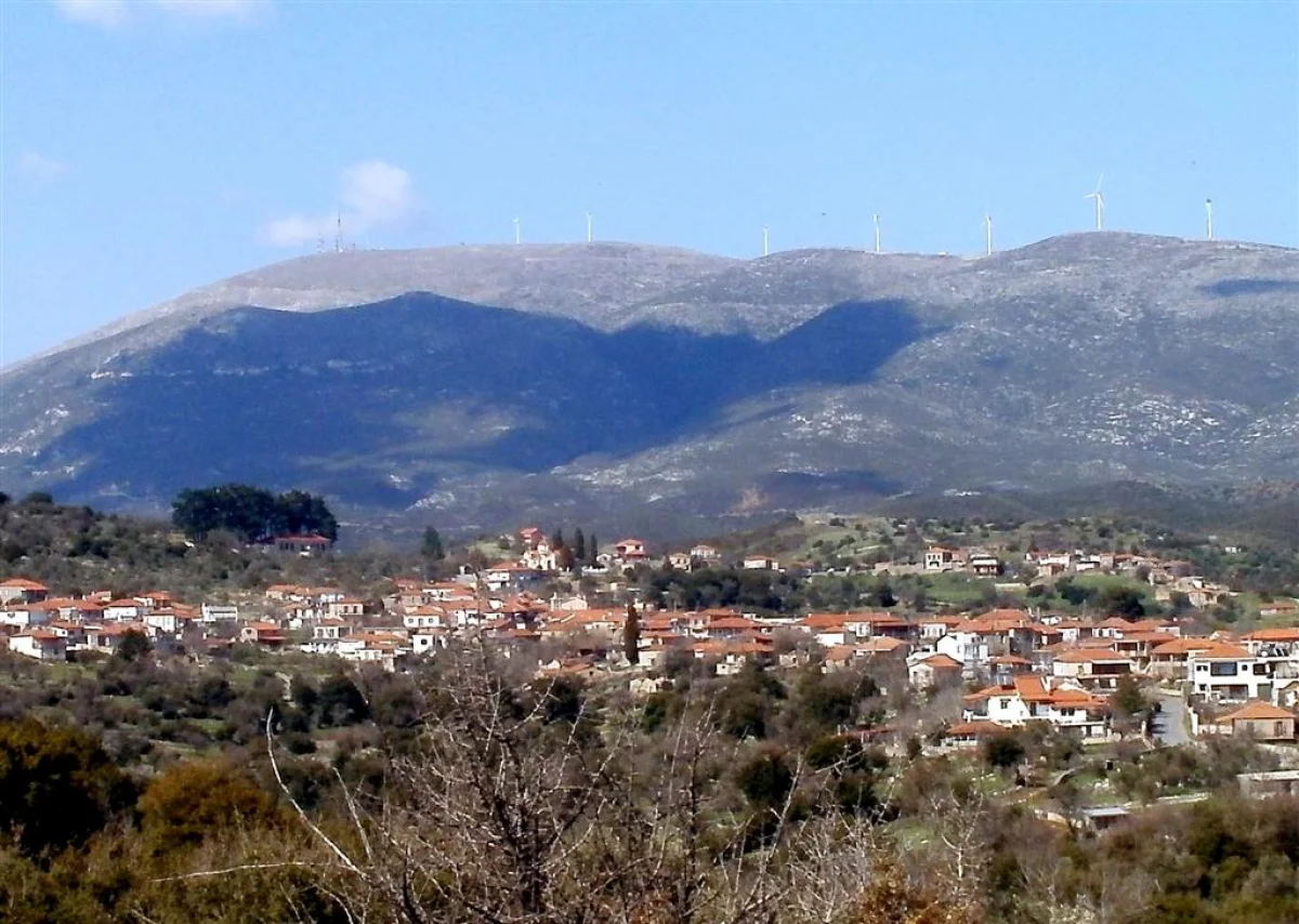 Σκορτσινός