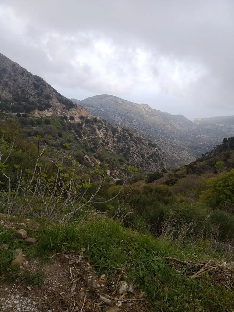 Σκαδό Νάξου