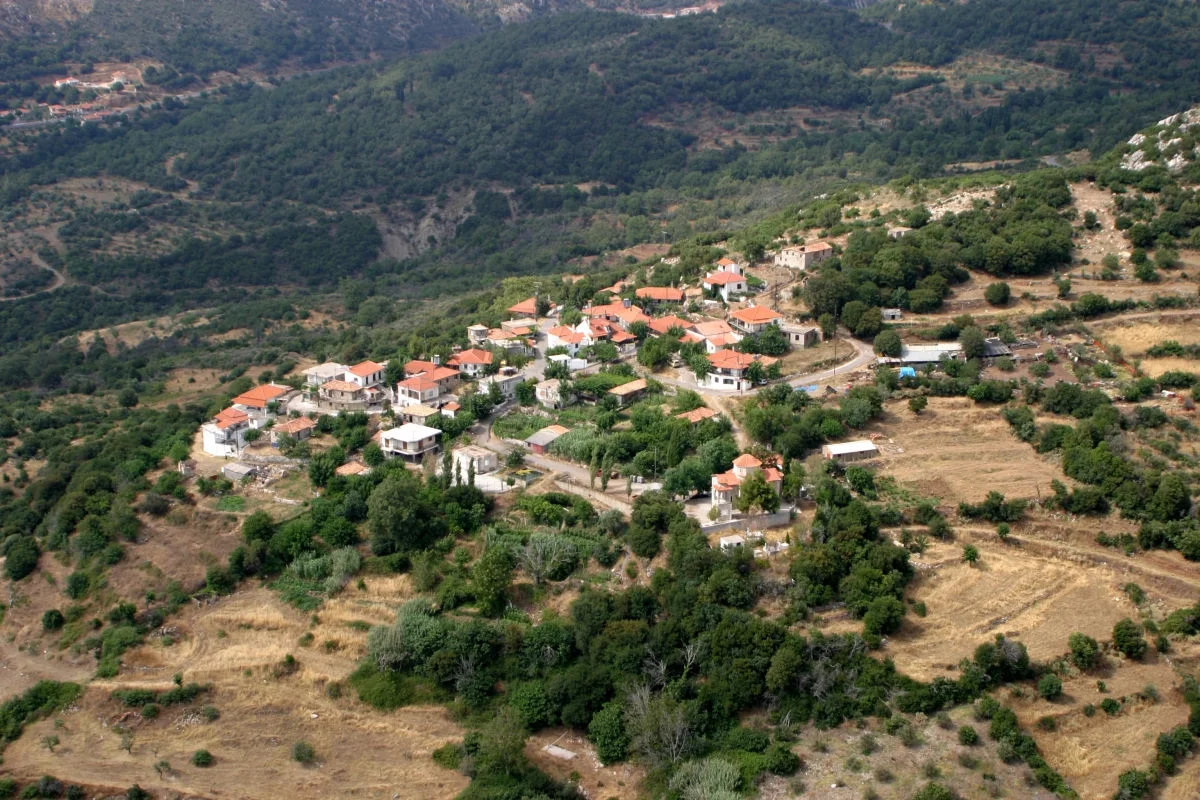 Σούλι
