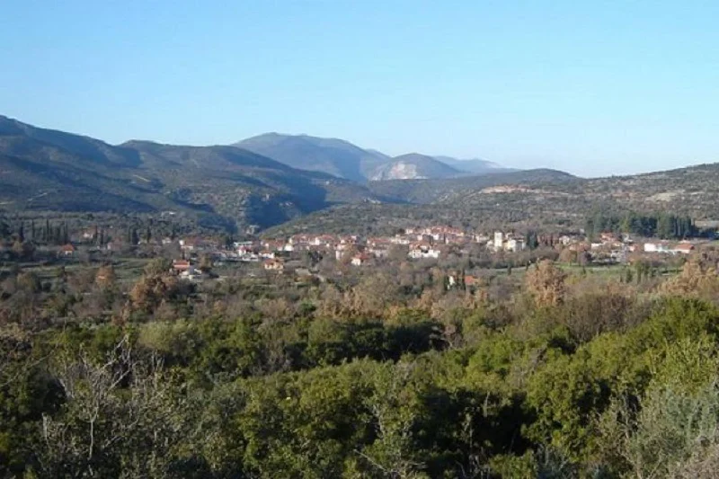 Τσιτάλια