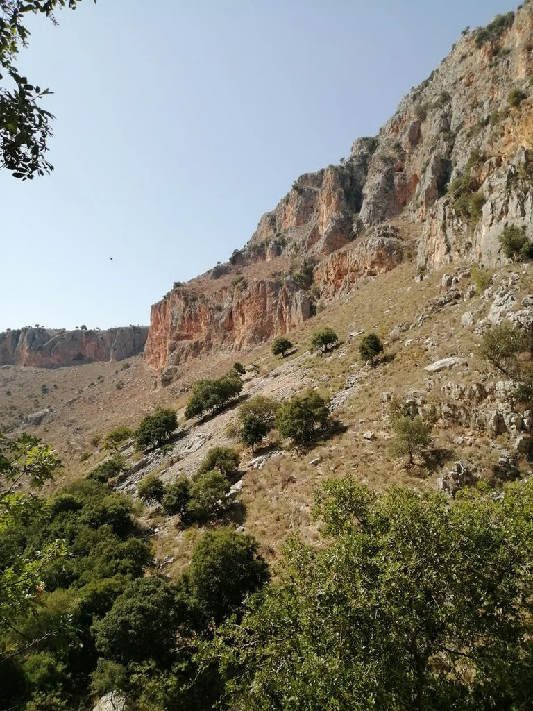Άνω Μούσουρα