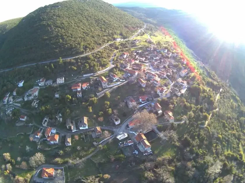 Χειμερινή Μελιγού