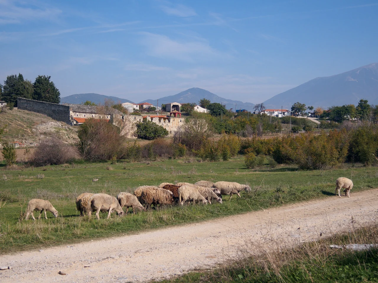 Κοκκινόγειο