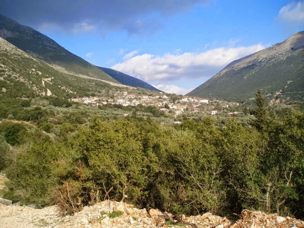 Αμπέλια Αμμότοπου