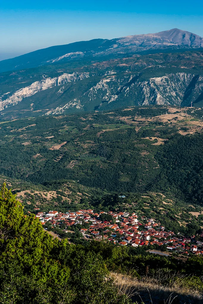 Ραψάνη