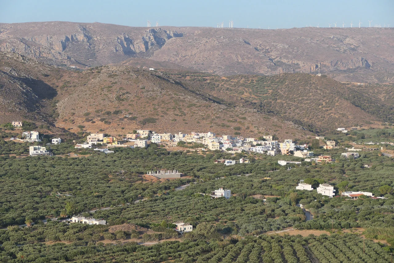 Αγκάθια