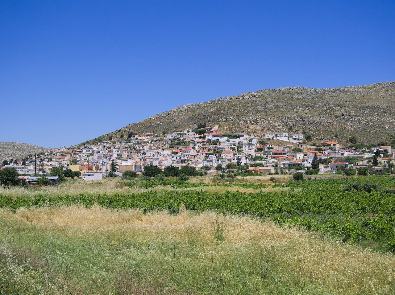 Ζίρος