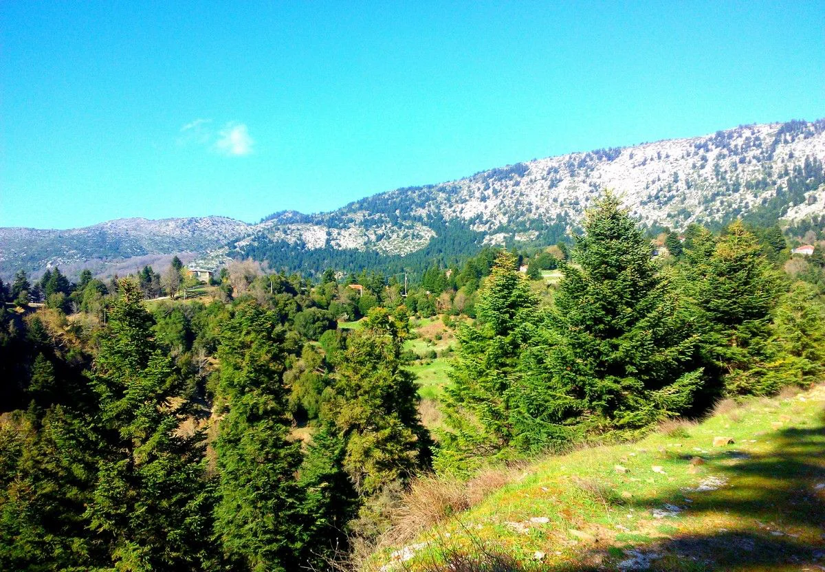 Γιαννιώτι