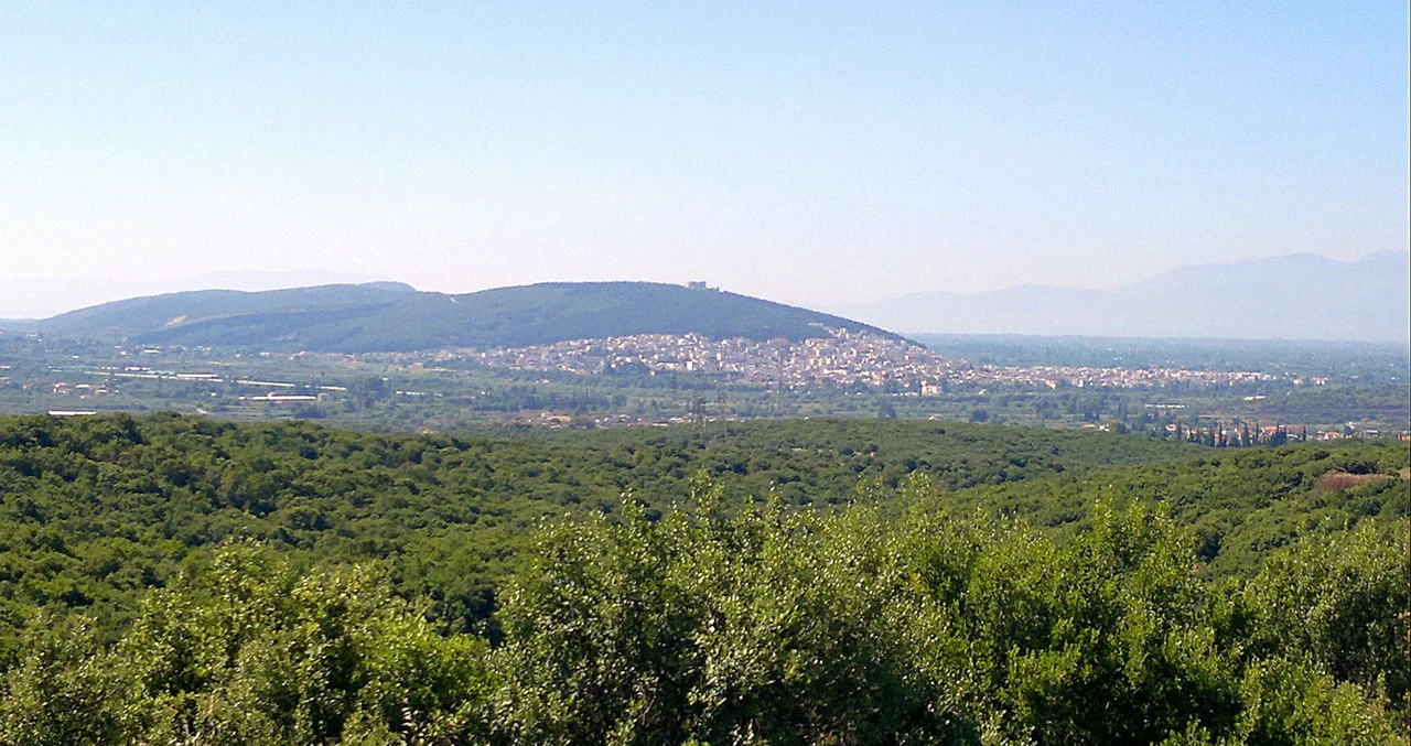 Γρίμποβο