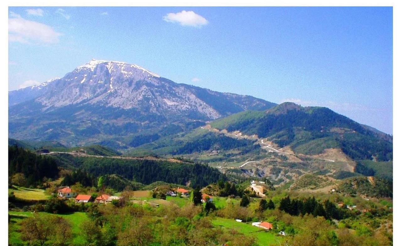 Ελάτη