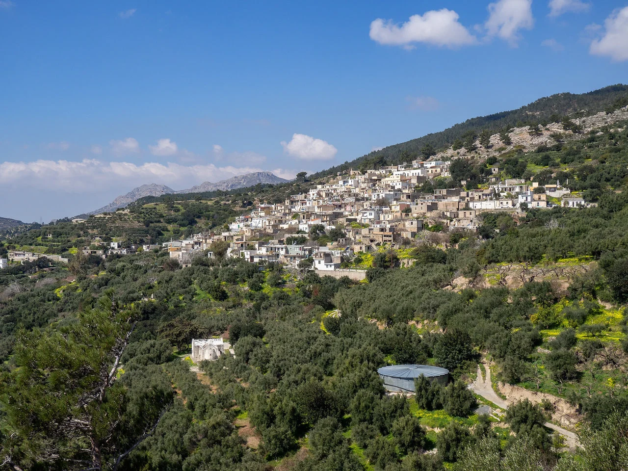 Σχινοκάψαλα