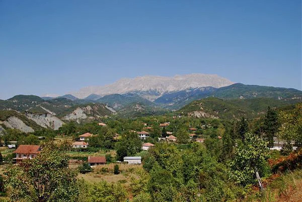 Καλλονή