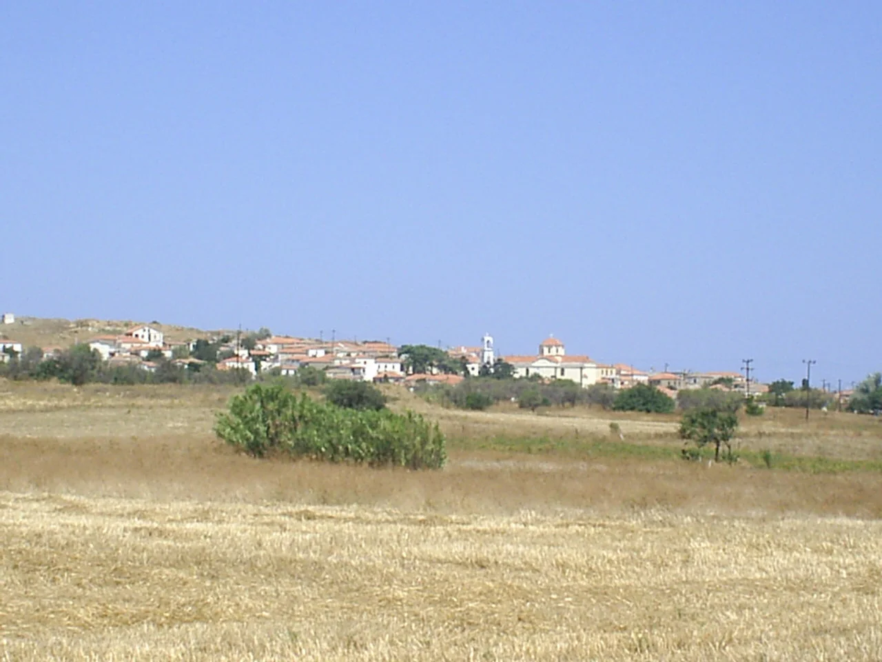 Κοντοπούλι Λήμνου