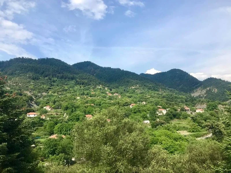 Καστανιά