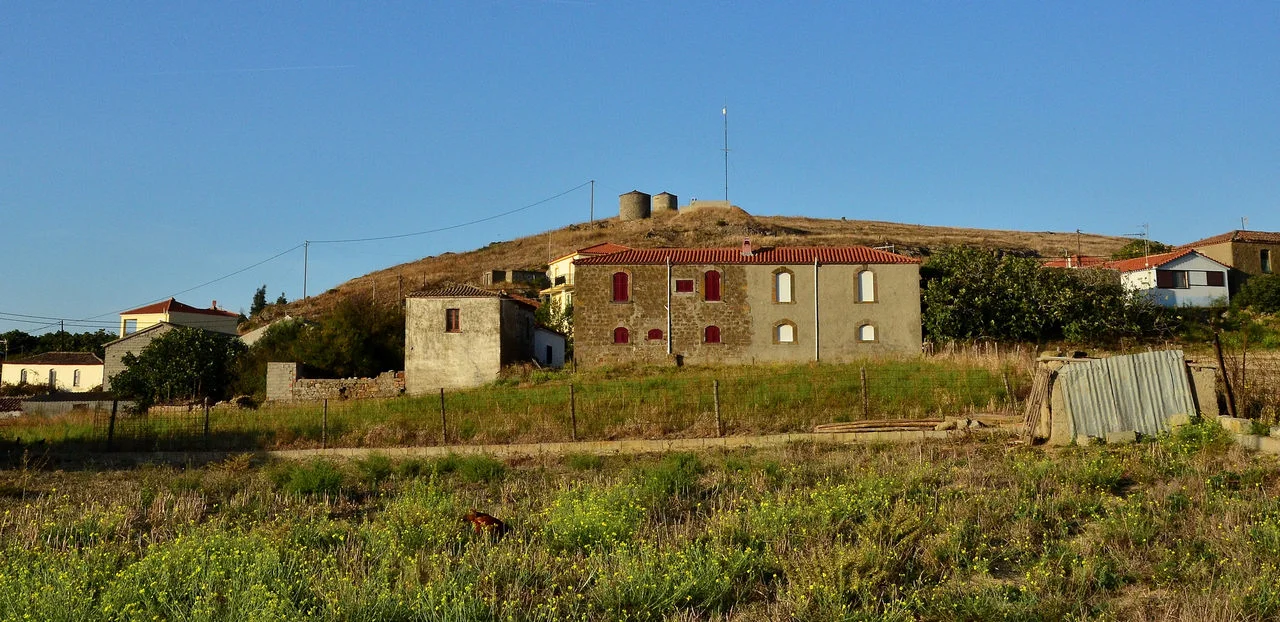 Ρεπανίδι Λήμνου