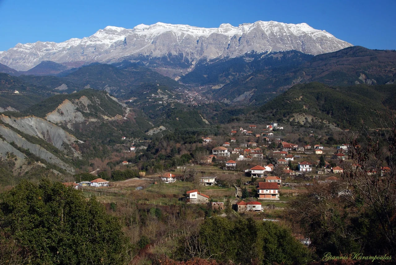 Κυψέλη
